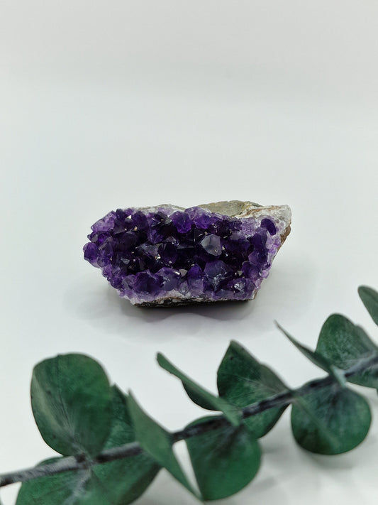 Amethyst Cluster aus Uruguay 💜