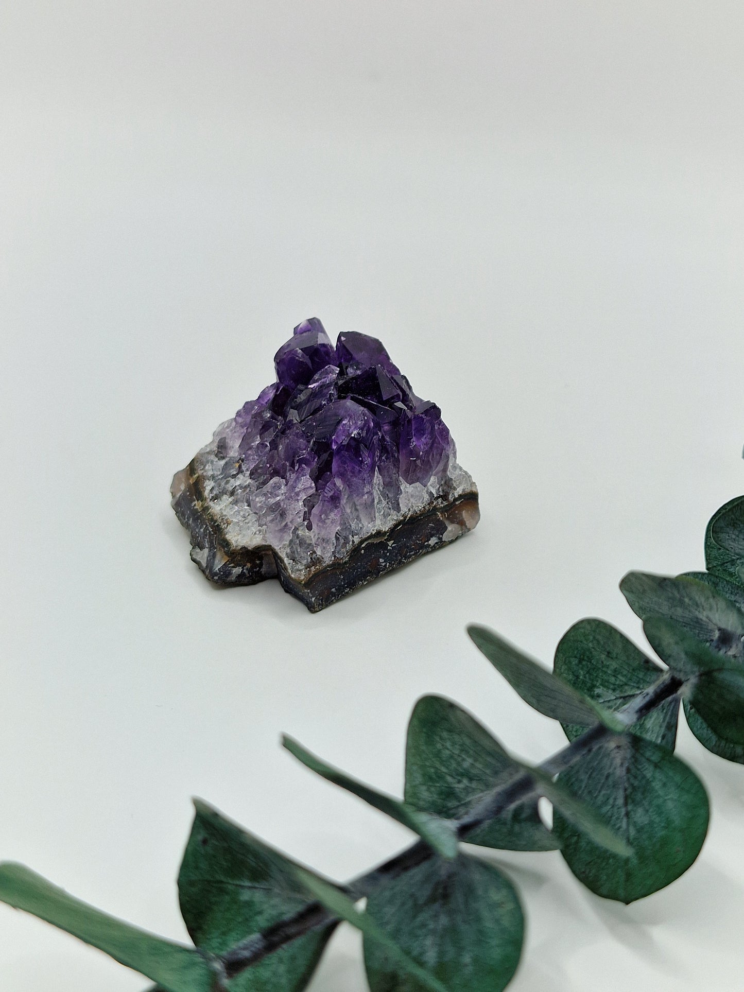 Amethyst Cluster aus Uruguay 💜