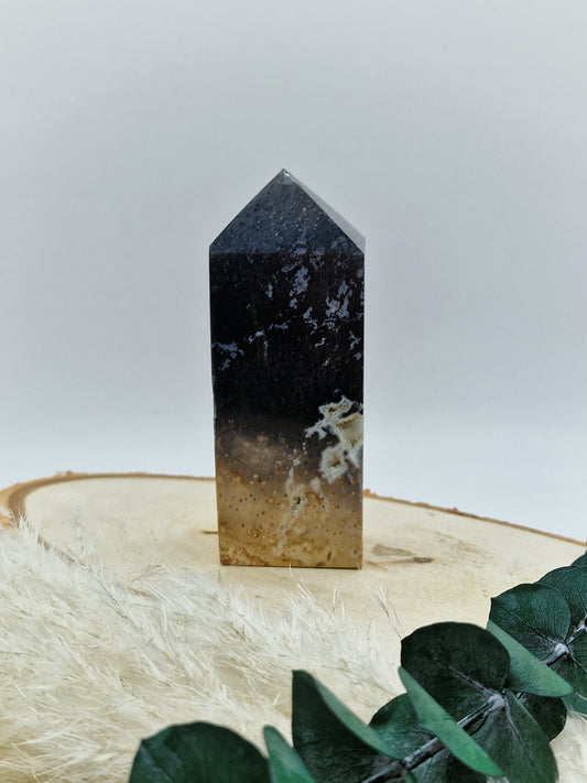 Versteinerter Palmwurzel Turm 🌴 PF61