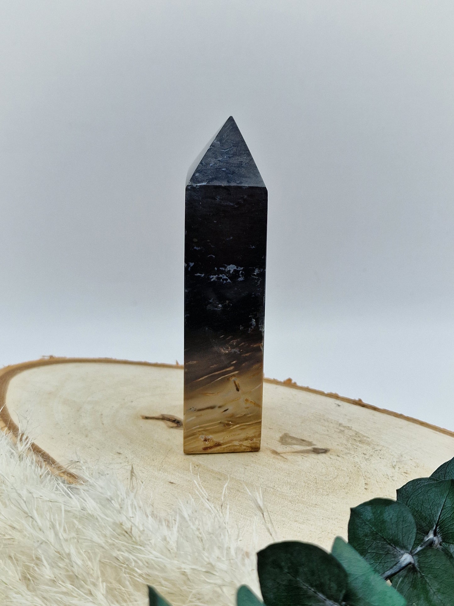 Versteinerter Palmwurzel Turm 🌴 PF61