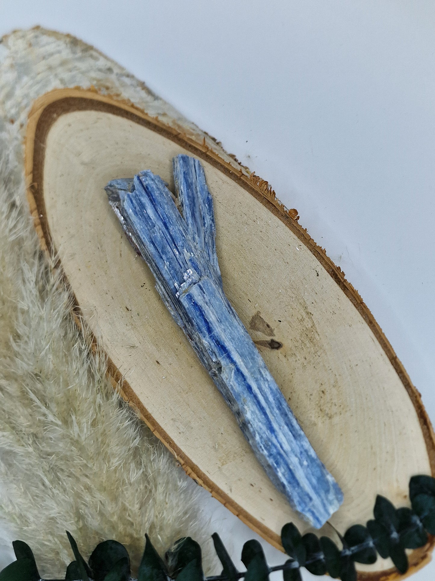 Kyanit Rohstücke 💙