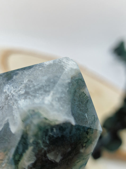 Moosachat Turm 🌿 B-Ware MK22