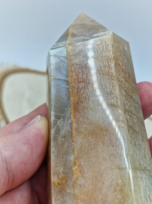 Pfirsich Mondstein Turm 🍑 MT19