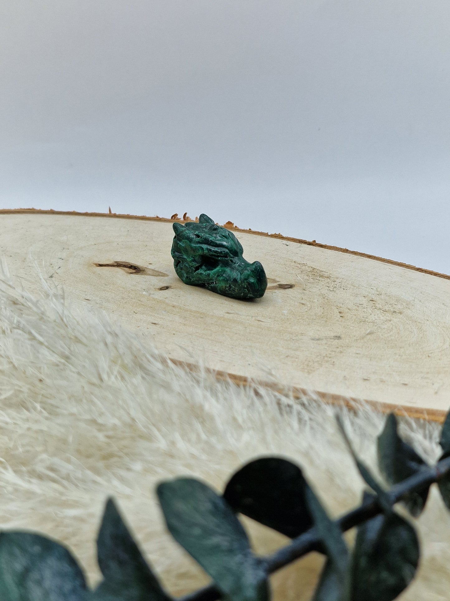 Drachenköpfe 🐲