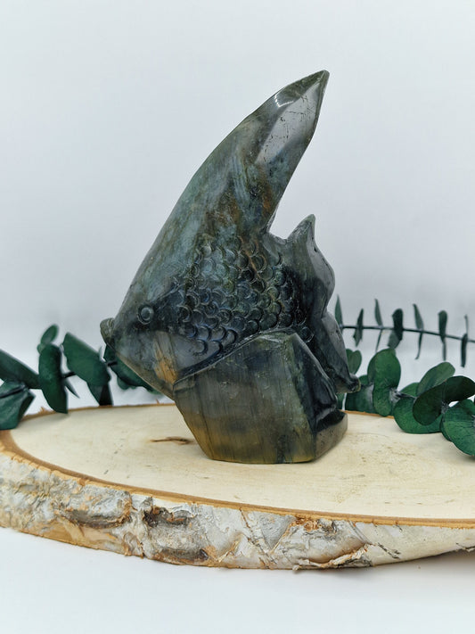 Tropischer Labradorit Fisch 🐠 LF167