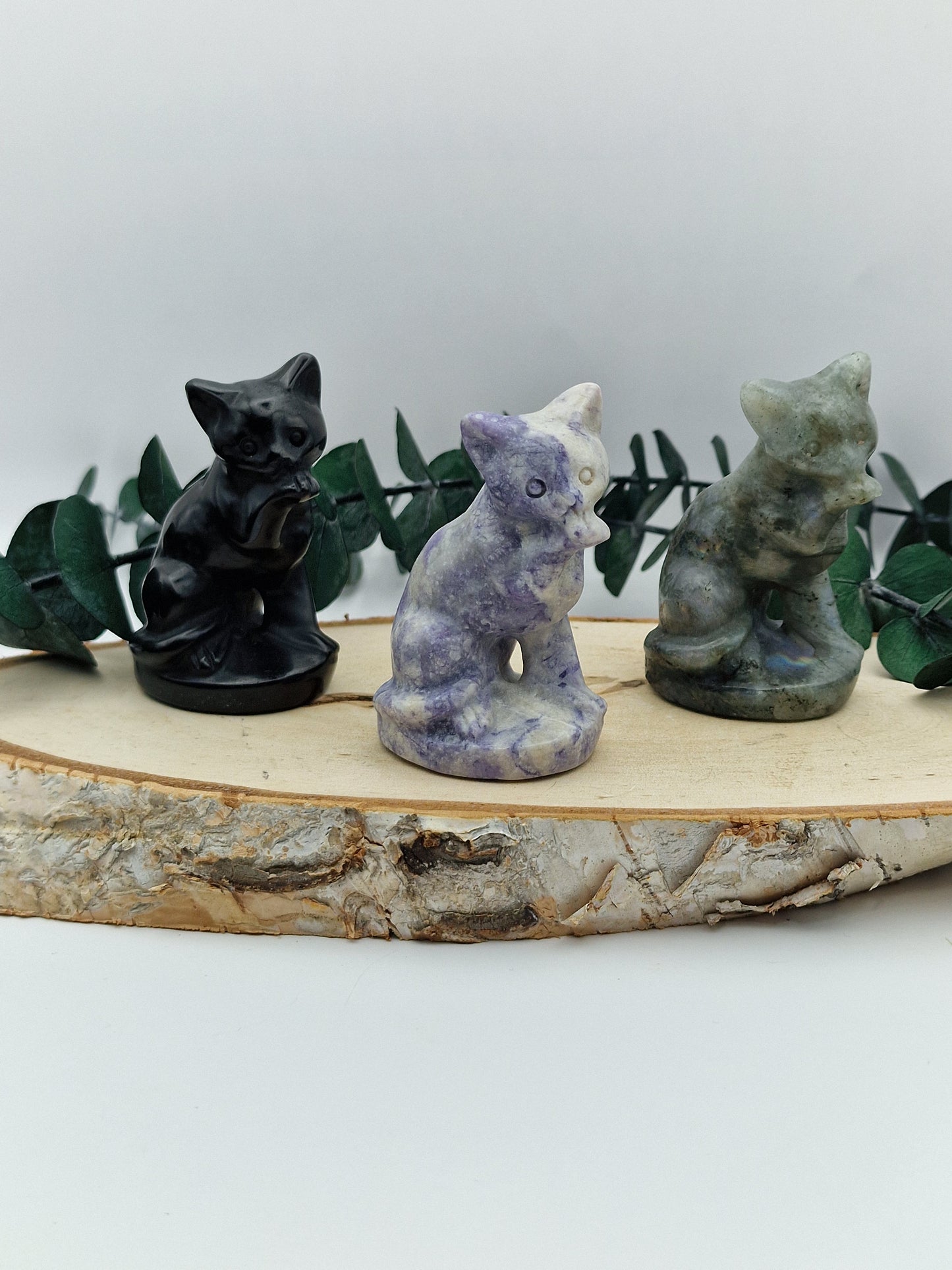 Katzen Carvings 🐈⬛