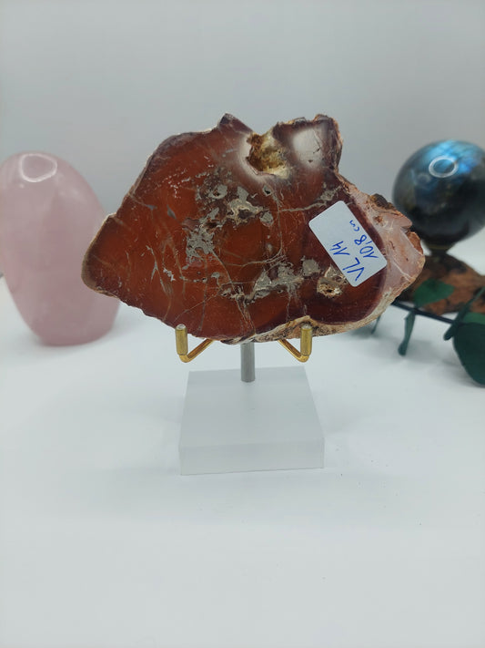 Versteinertes Holz VL14 🌳🪓🪵