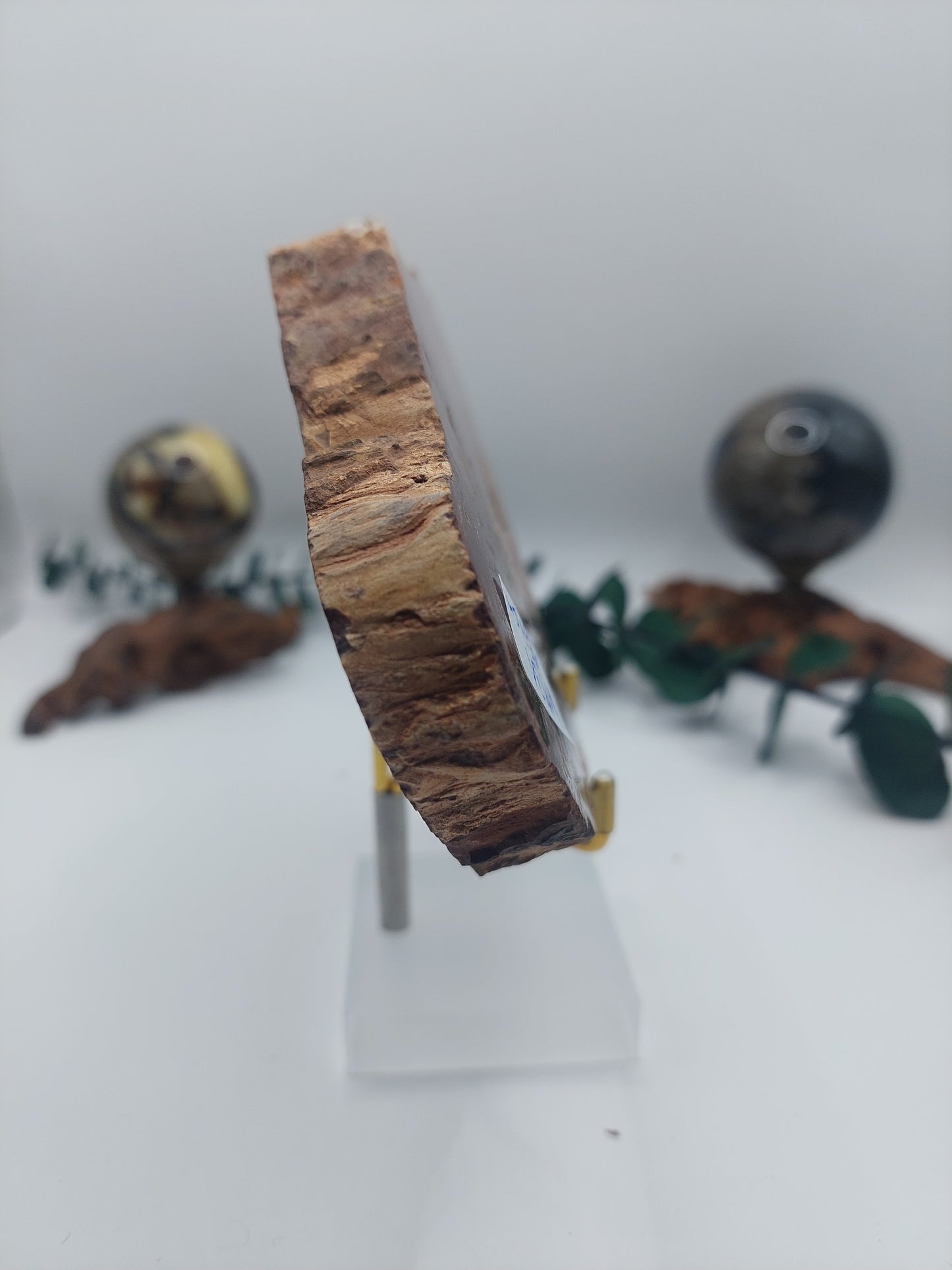Versteinertes Holz VM31 🌳 🪵🪓