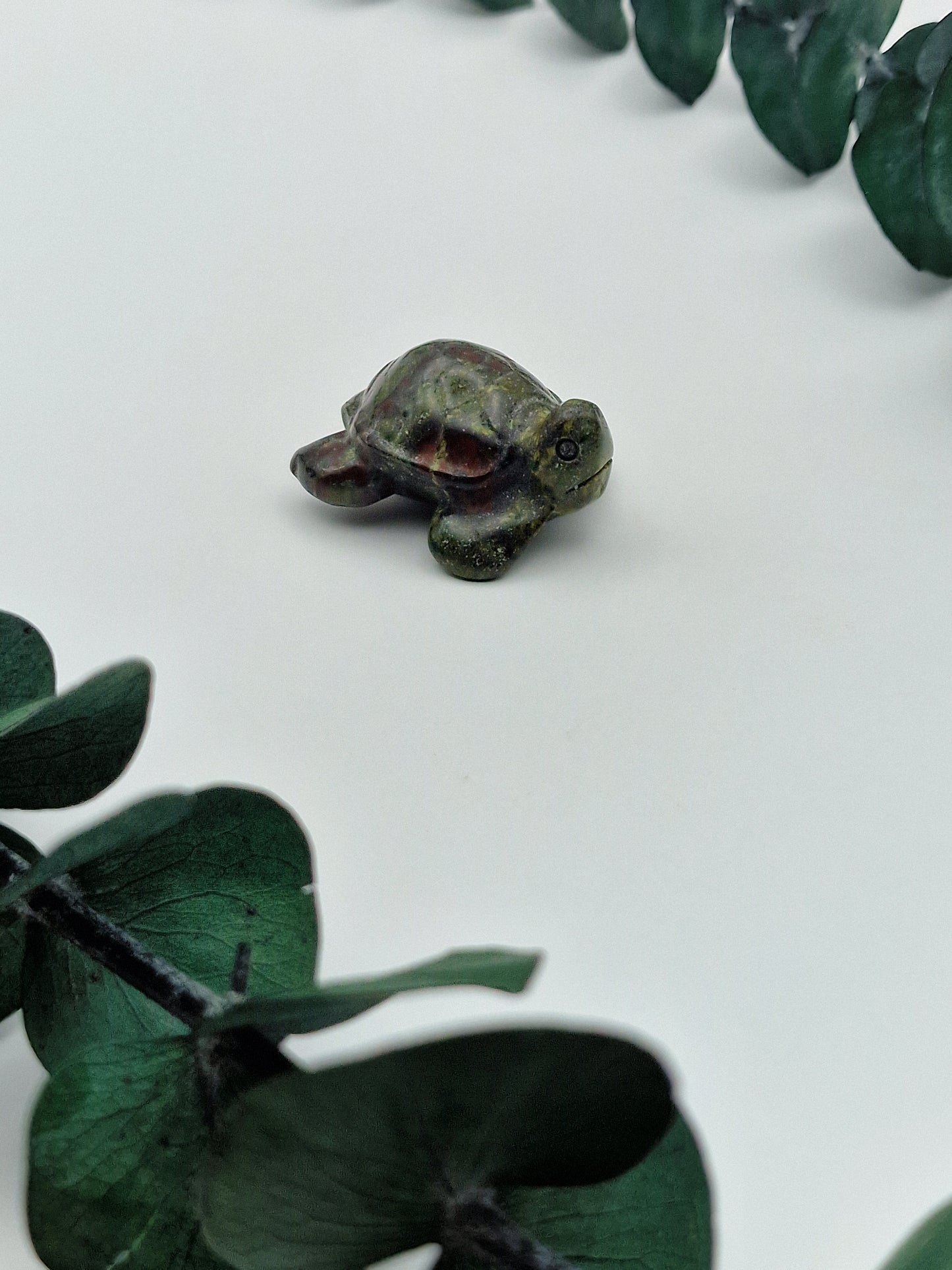 Schildkröte aus Drachenblut Jaspis 🐉