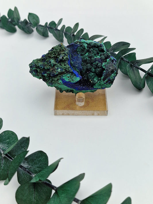 Acryl Specimen/Cluster Ständer