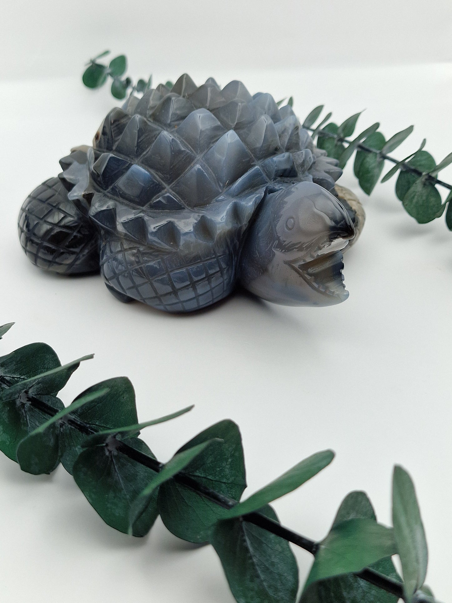 Volcano/Vulkan Achat Schnappschildkröte 🐢 SP202