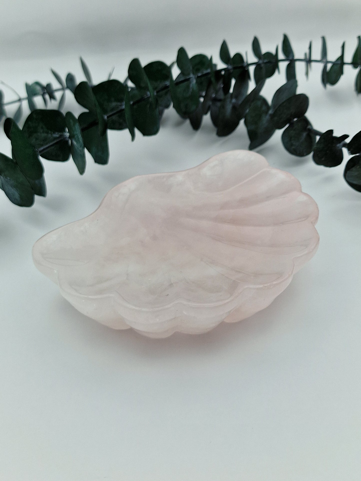 Rosenquarz Muschel Schale 🐚 RH66