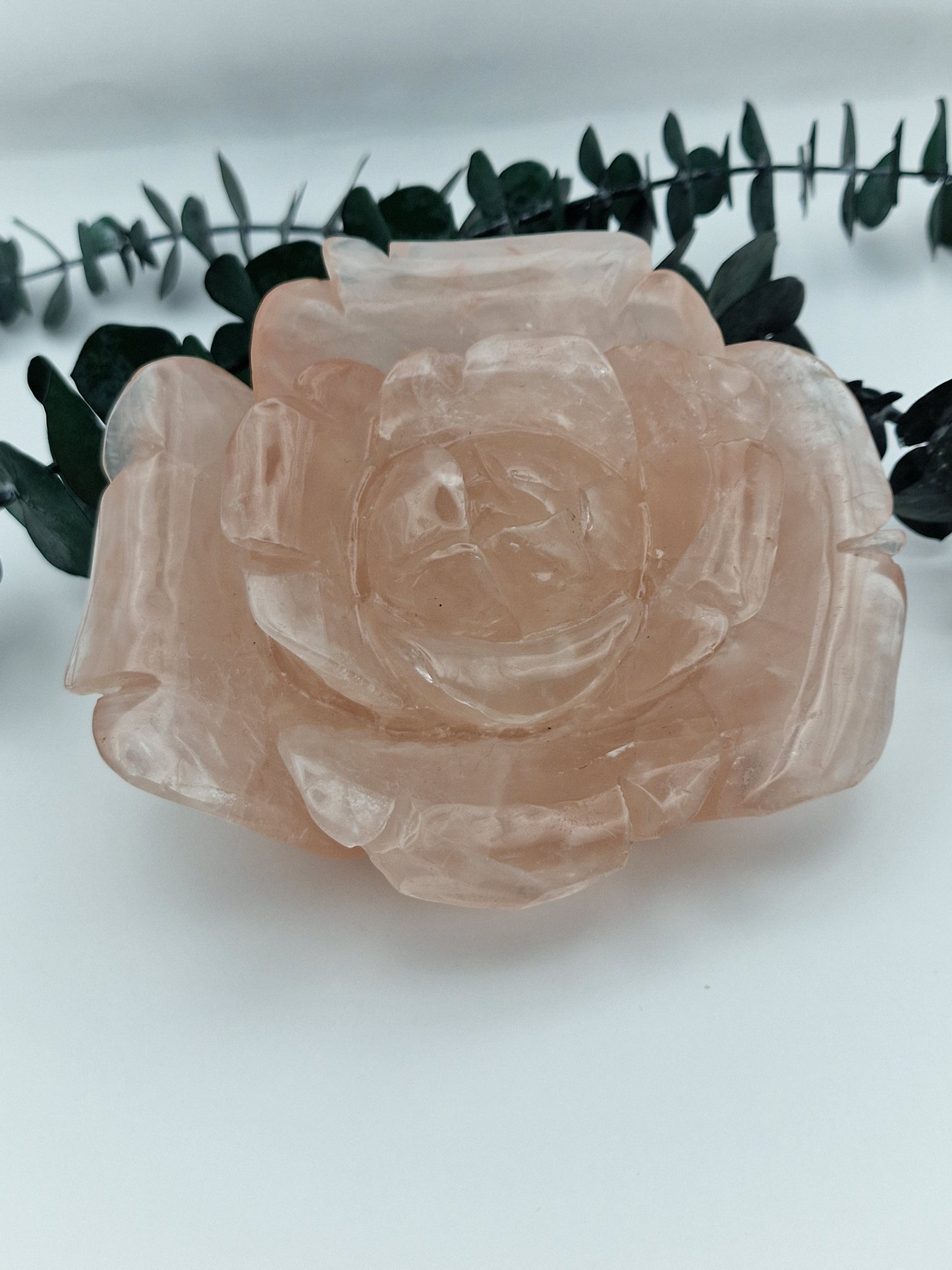XL Rosenquarz Rose 🌹 R171 B-Ware
