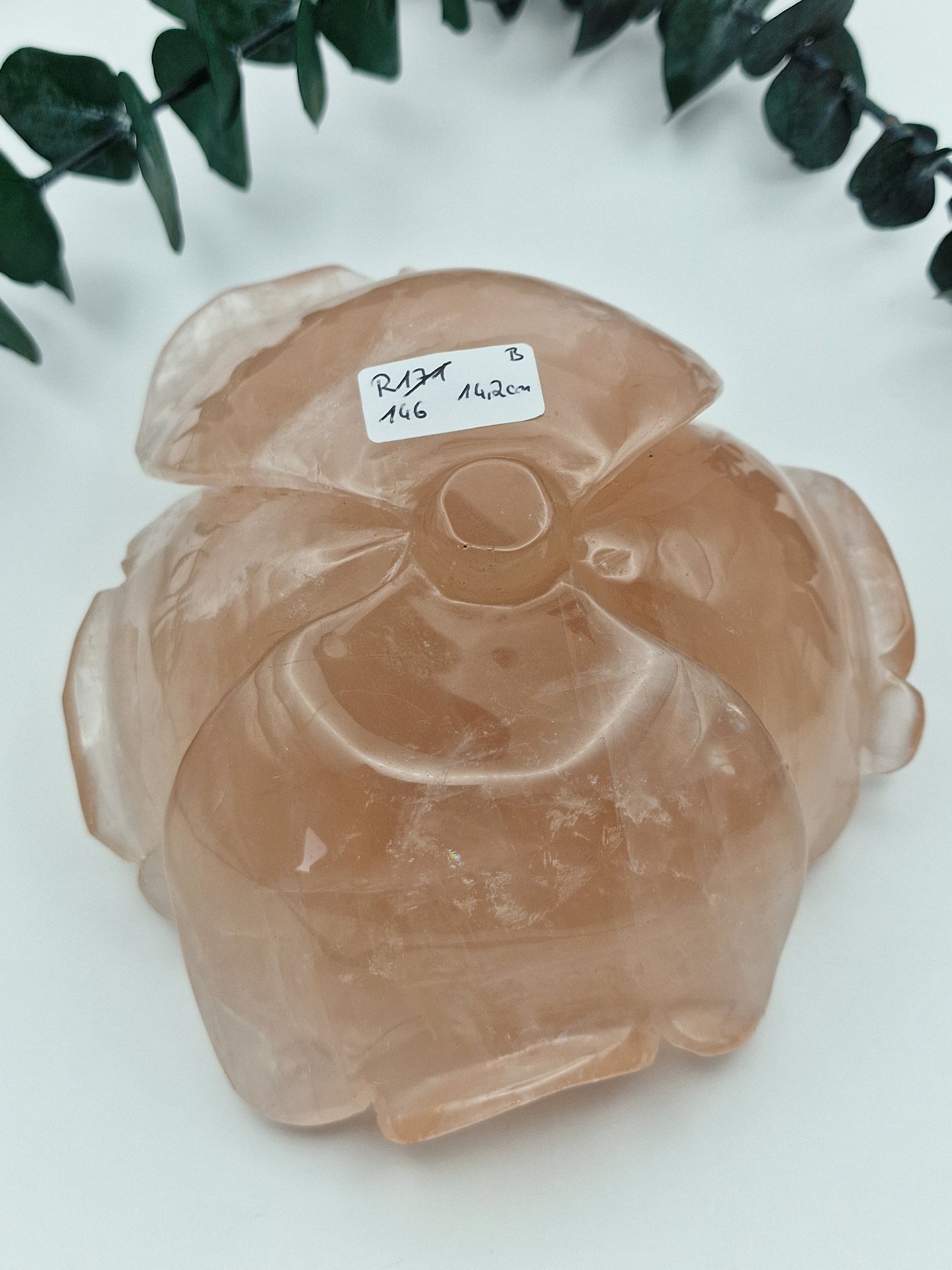 XL Rosenquarz Rose 🌹 R171 B-Ware