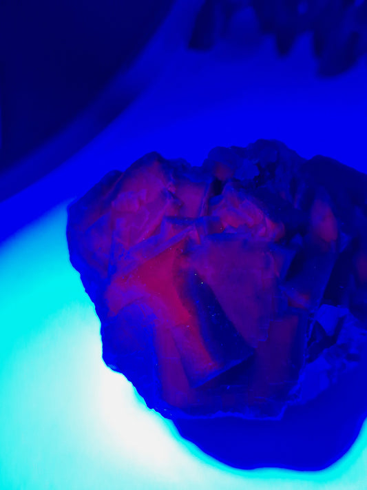 Black Rose Fluorit 🌹 BA54