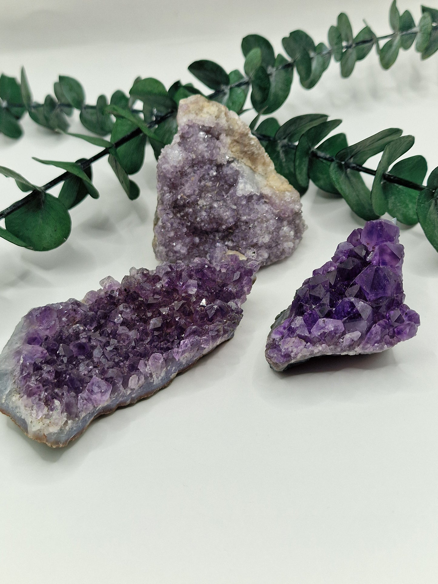 Amethyst Cluster 💜