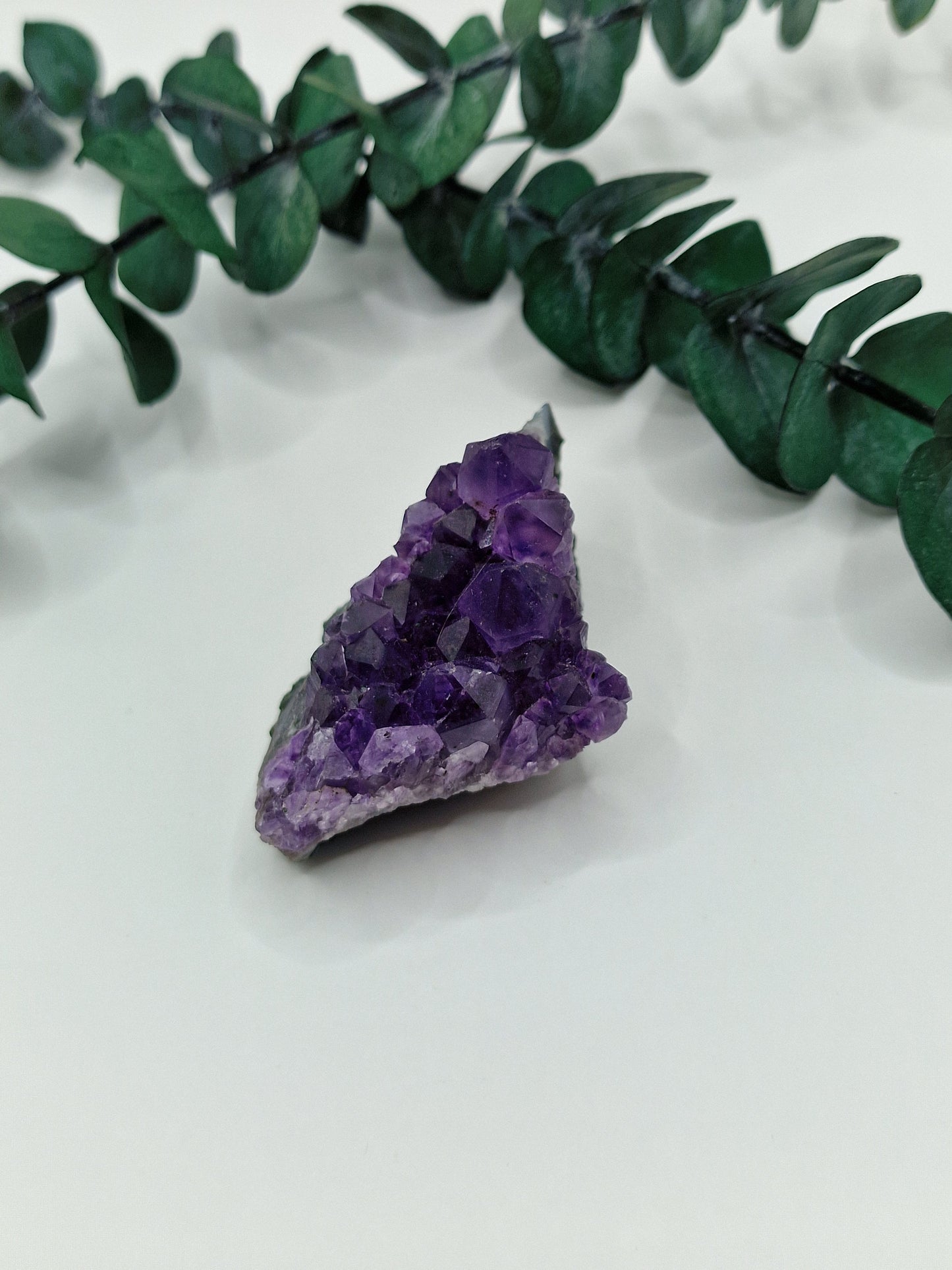 Amethyst Cluster 💜