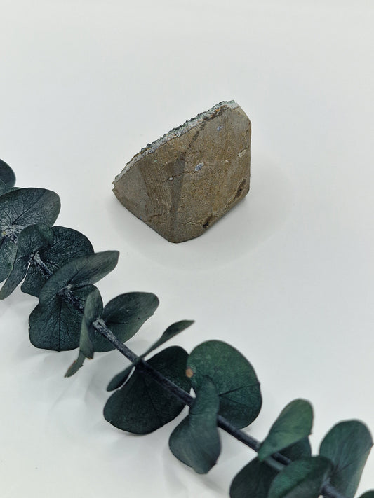 Rainbow Amethyst Cutbase aus Brasilien ✨️ TI23