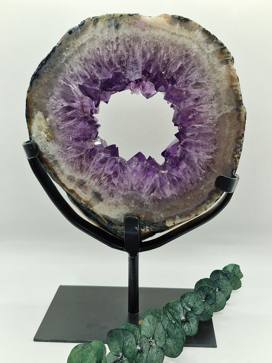 Amethyst Portal 💜 AP264