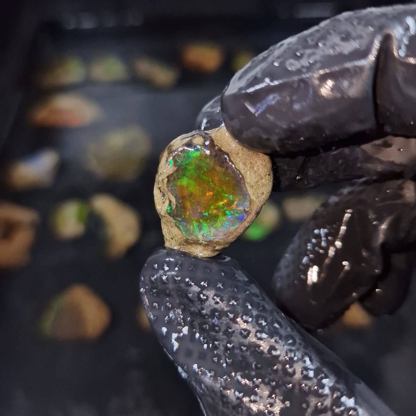 Wasseropal aus Äthiopien 🌈 7g