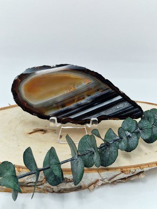 Halbpolierte Achat-Scheiben 🤍