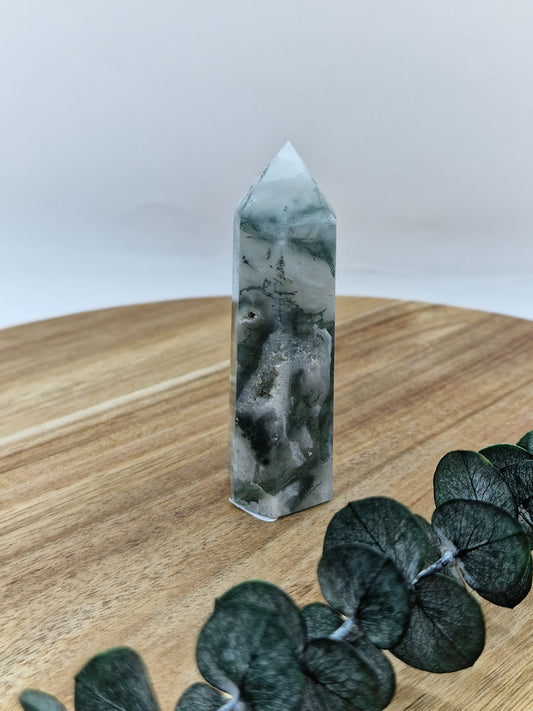 Moosachat Türme 🌿