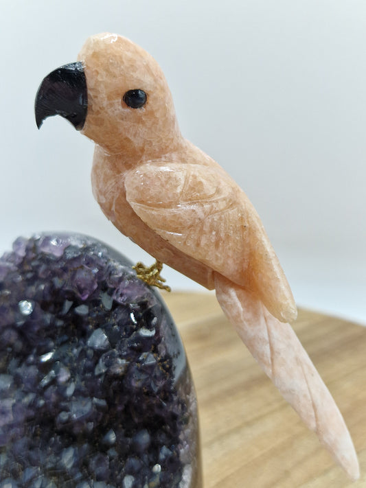Pink Amethyst Vogel auf Amethyst Cutbase 🦜 DV67