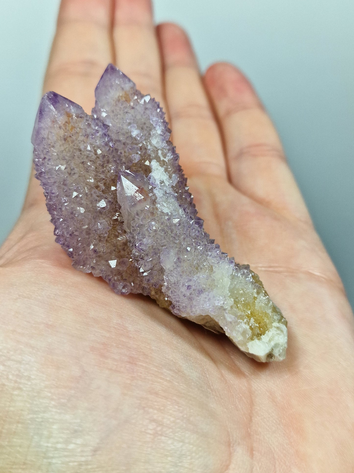 Spirit Quarz/Kaktusquarz 💜 59S