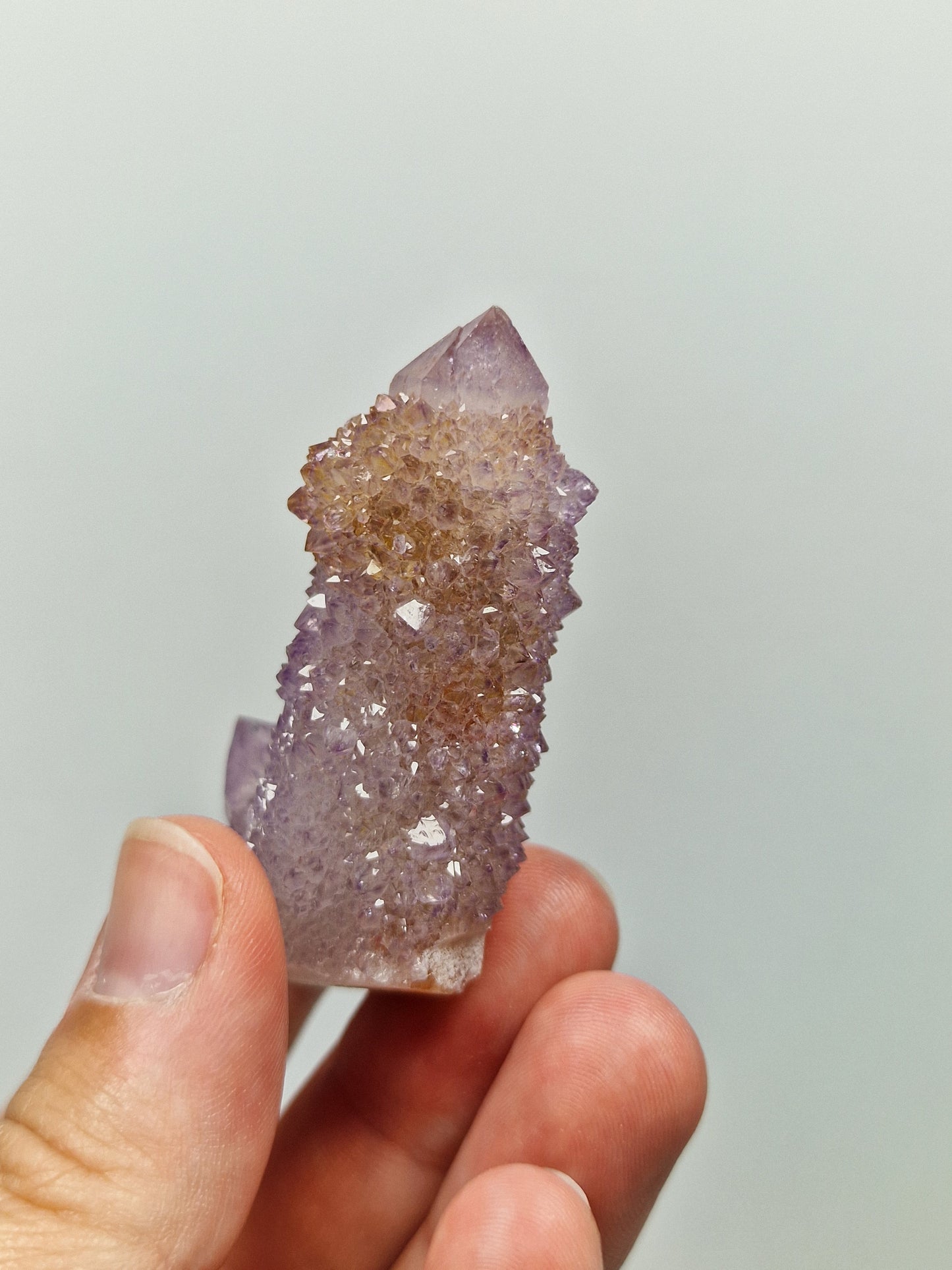 Spirit Quarz/Kaktusquarz 💜 45R