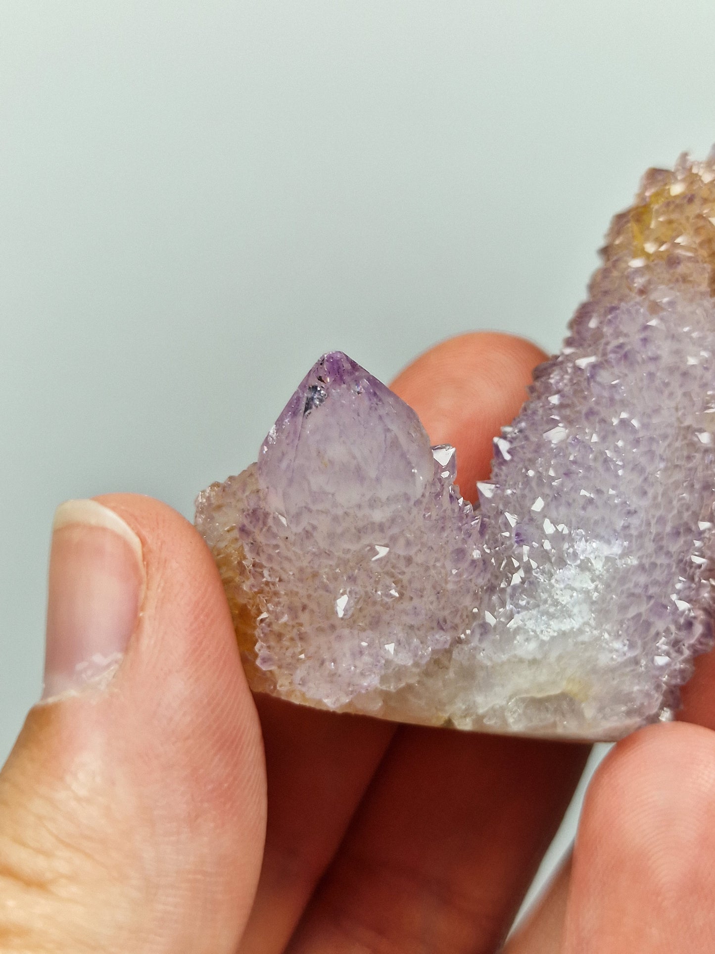 Spirit Quarz/Kaktusquarz 💜 45R