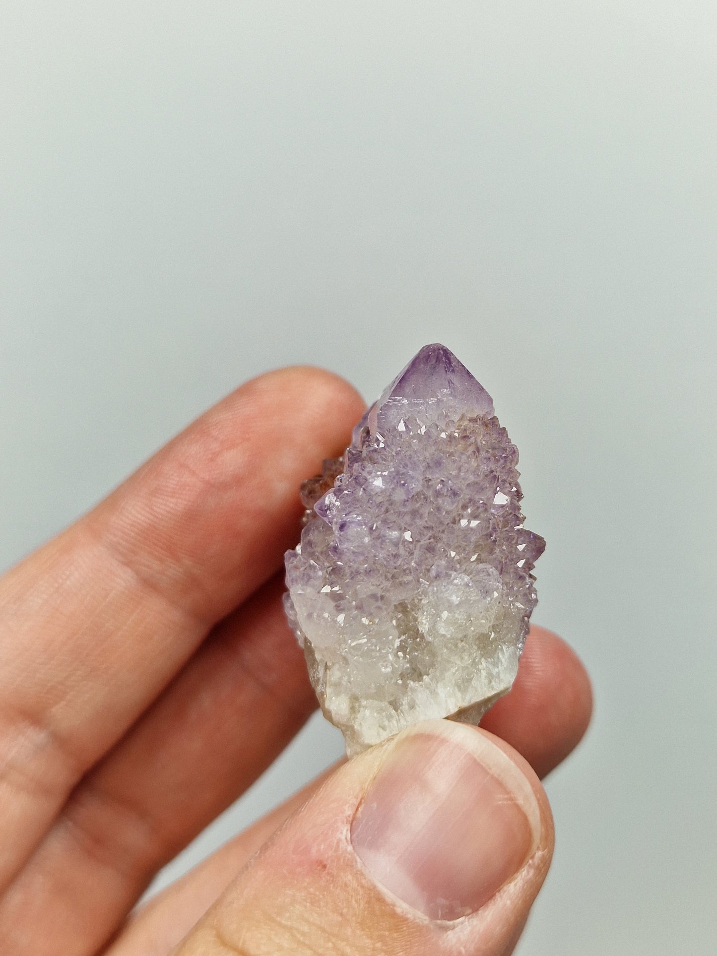 Spirit Quarz/Kaktusquarz 💜 23Z