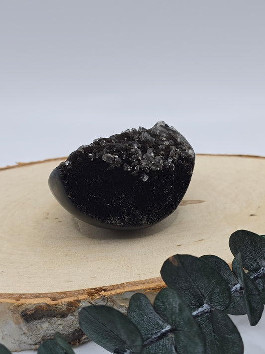 Septarie Freiform 🤎 KC17