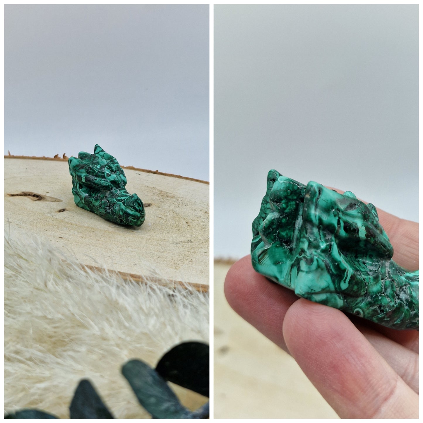 Drachenköpfe 🐲