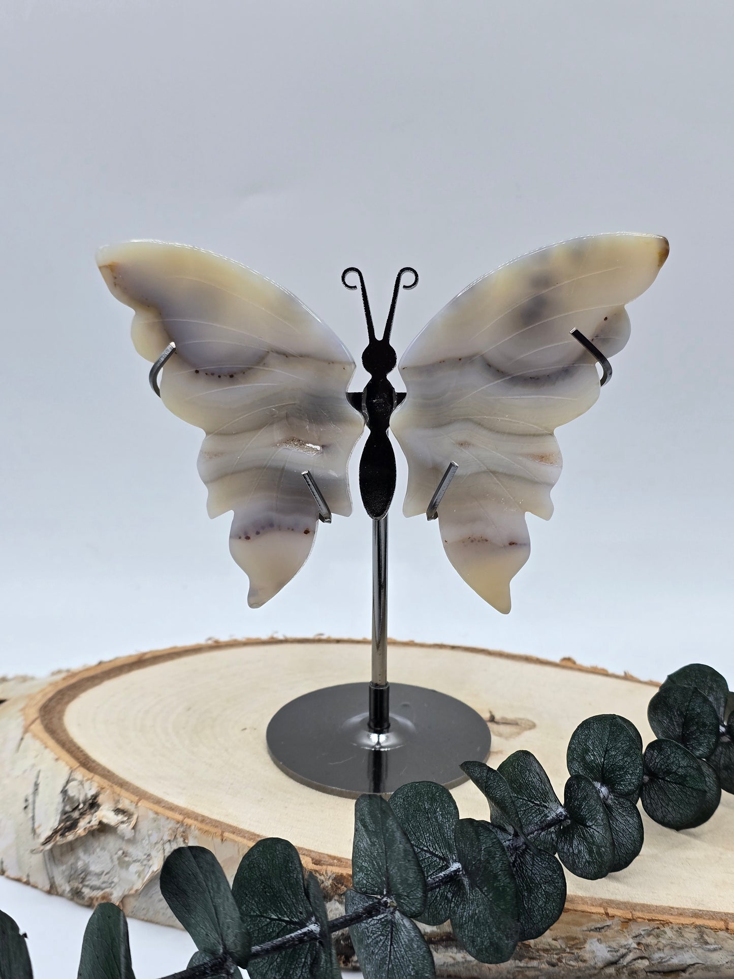 Achat Schmetterling 🦋 Nr.46