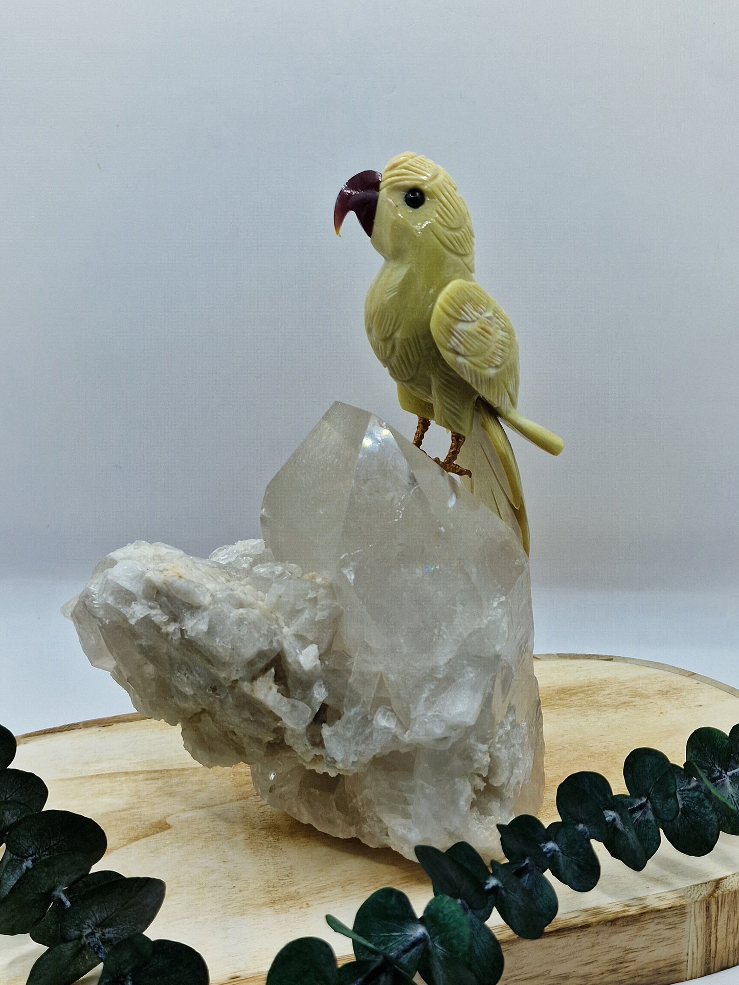Papagei auf Bergkristall 🦜 VC154