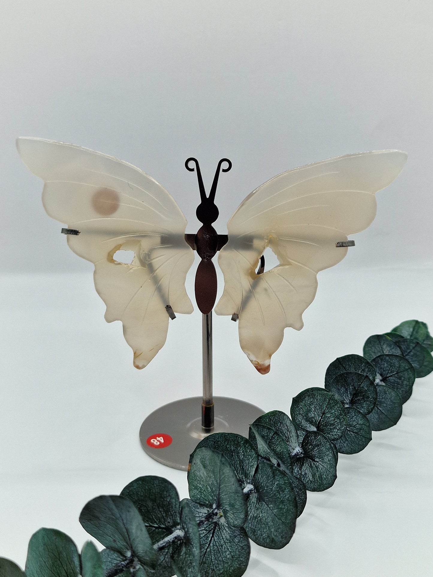 Achat Schmetterling 🦋 48