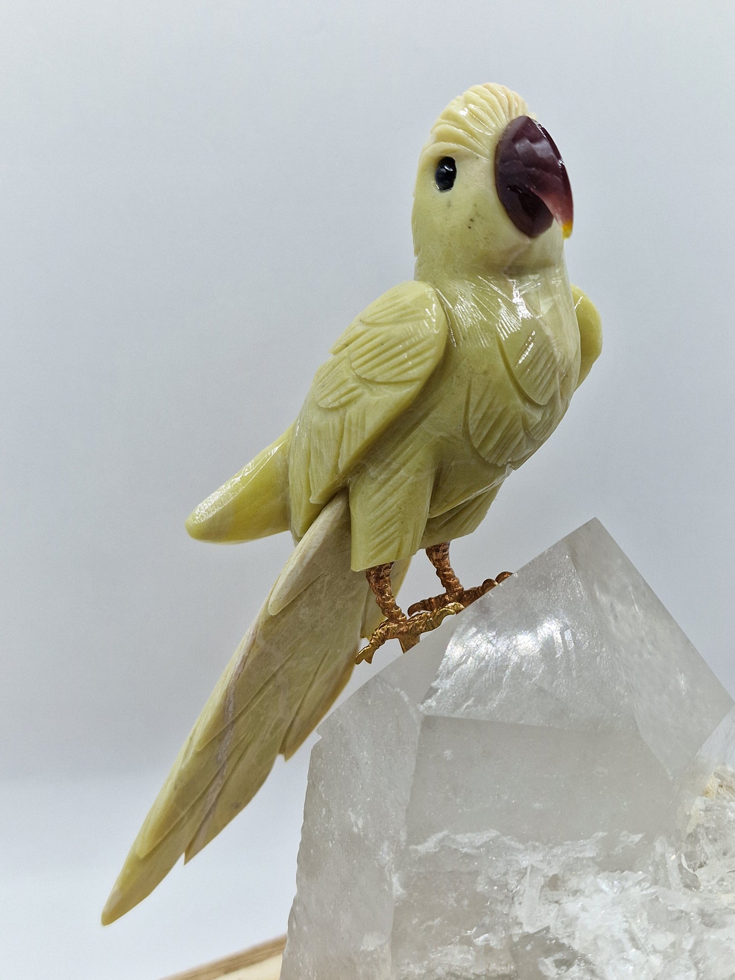 Papagei auf Bergkristall 🦜 VC154