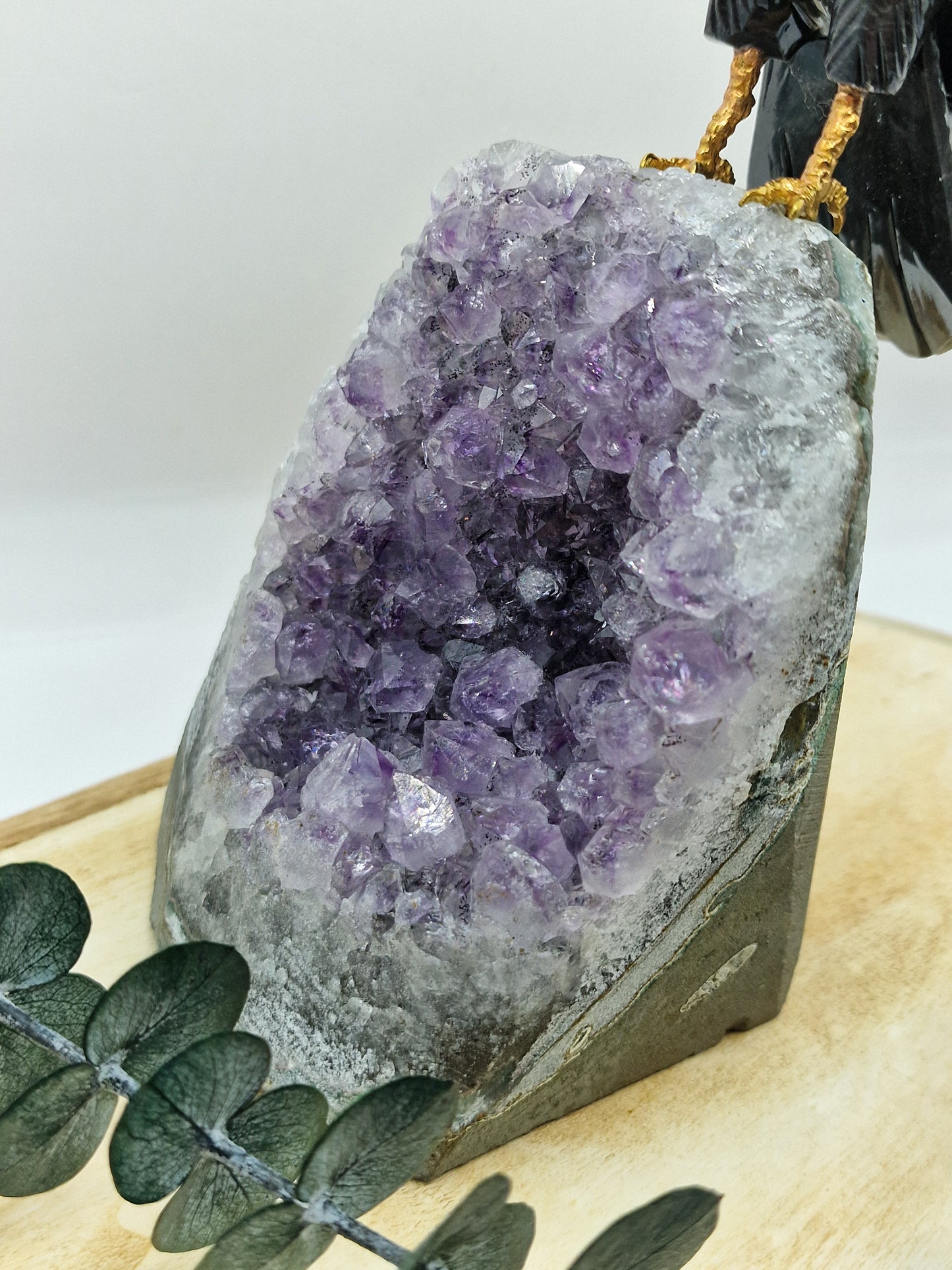 Tucan auf Amethyst Cutbase 🐦 VF141