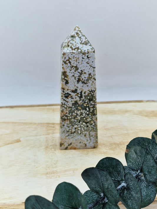 Ozean Jaspis Türme 🪸