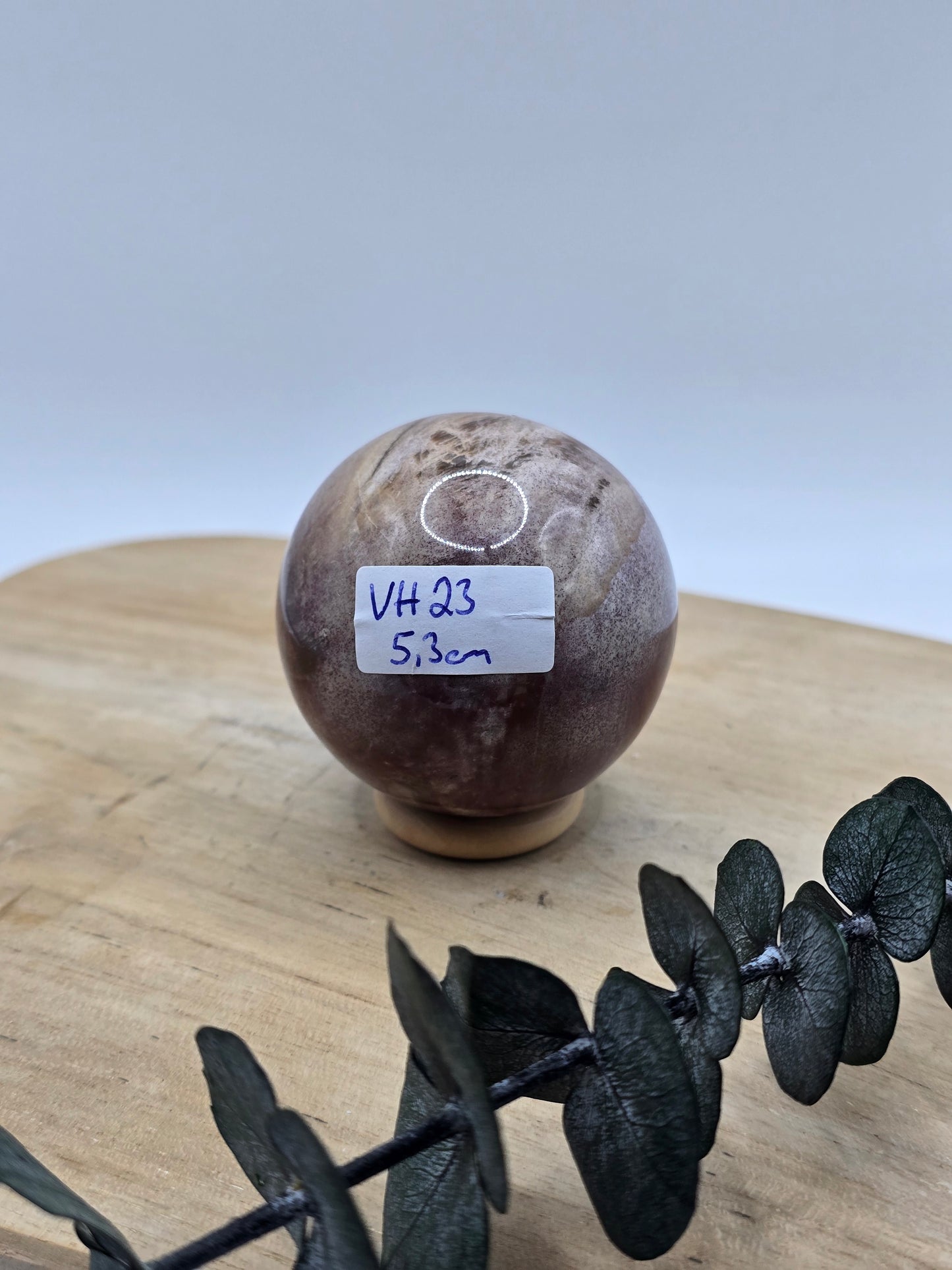 Versteinertes Holz Kugel 🪵 VH23
