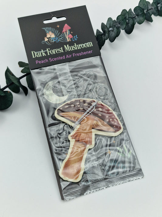 Dufterfrischer ✨️