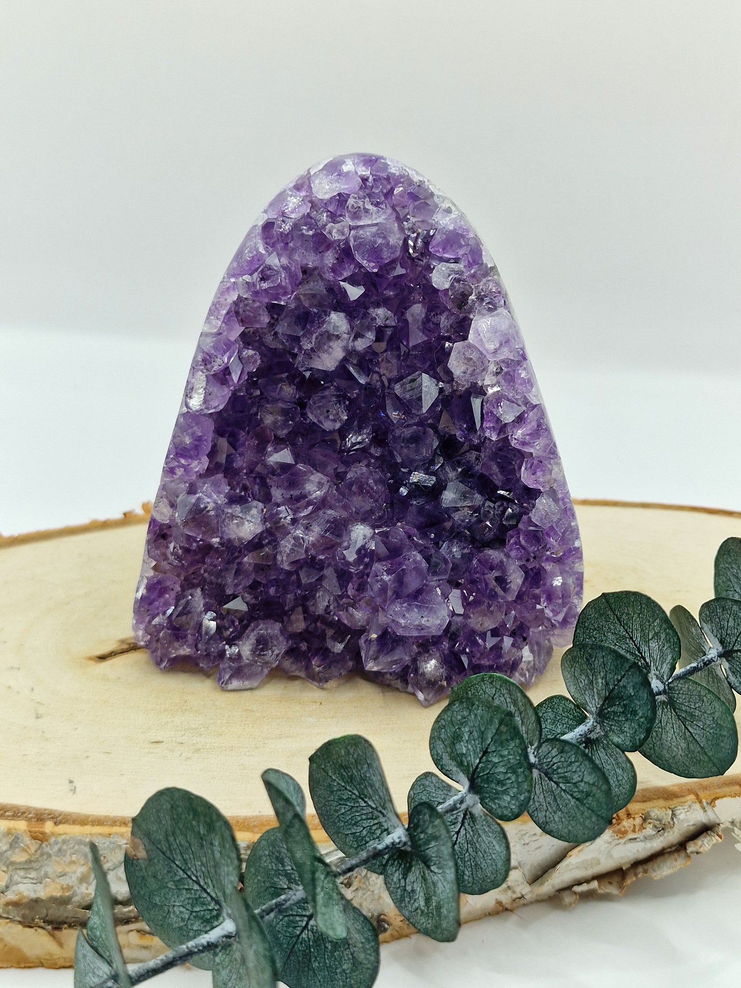 Amethyst Cutbase 💜 FZ31