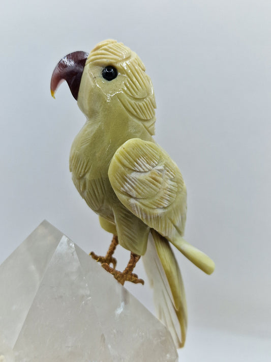 Papagei auf Bergkristall 🦜 VC154