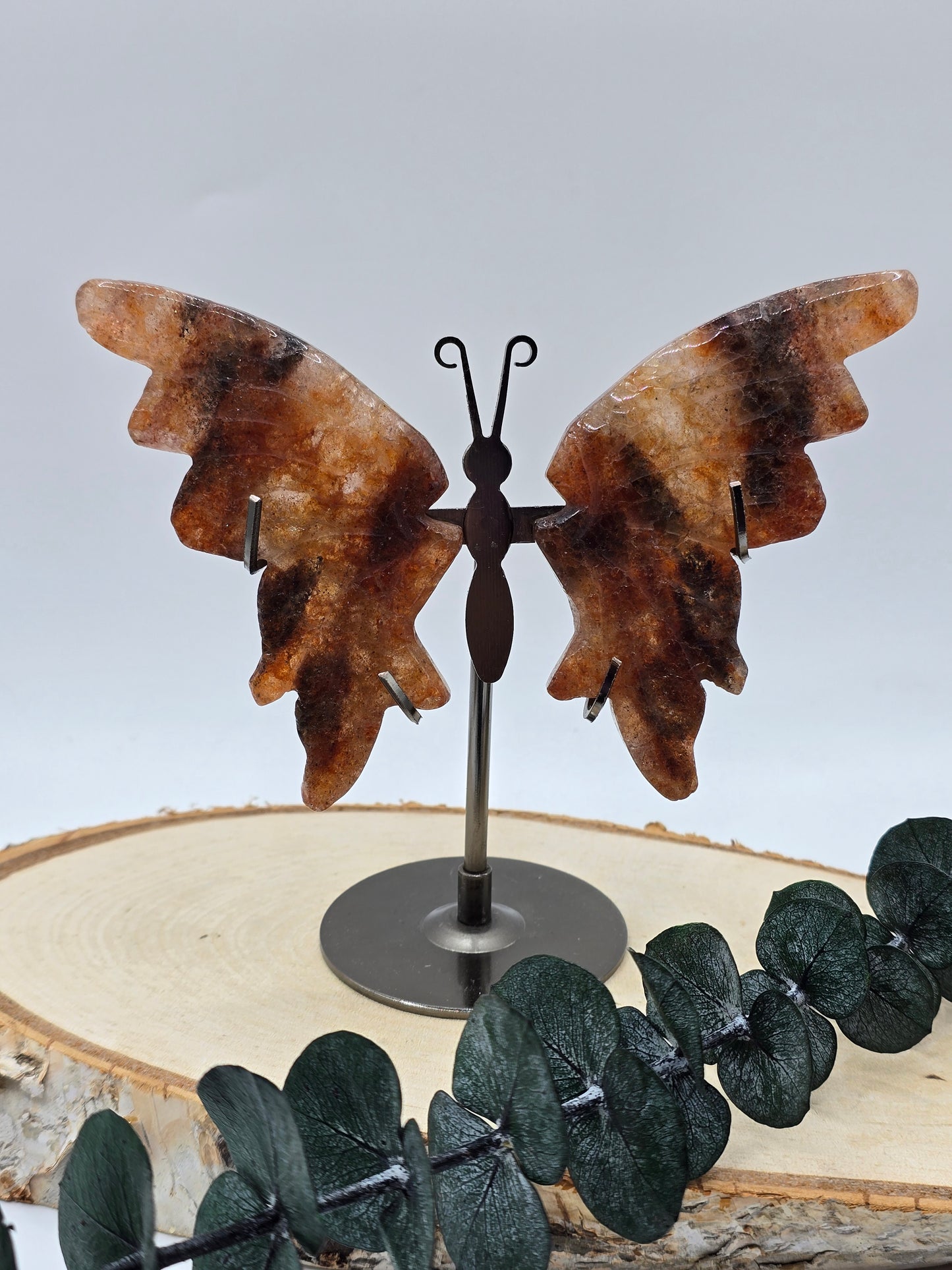 Feuerquarz Schmetterling 🦋 F22