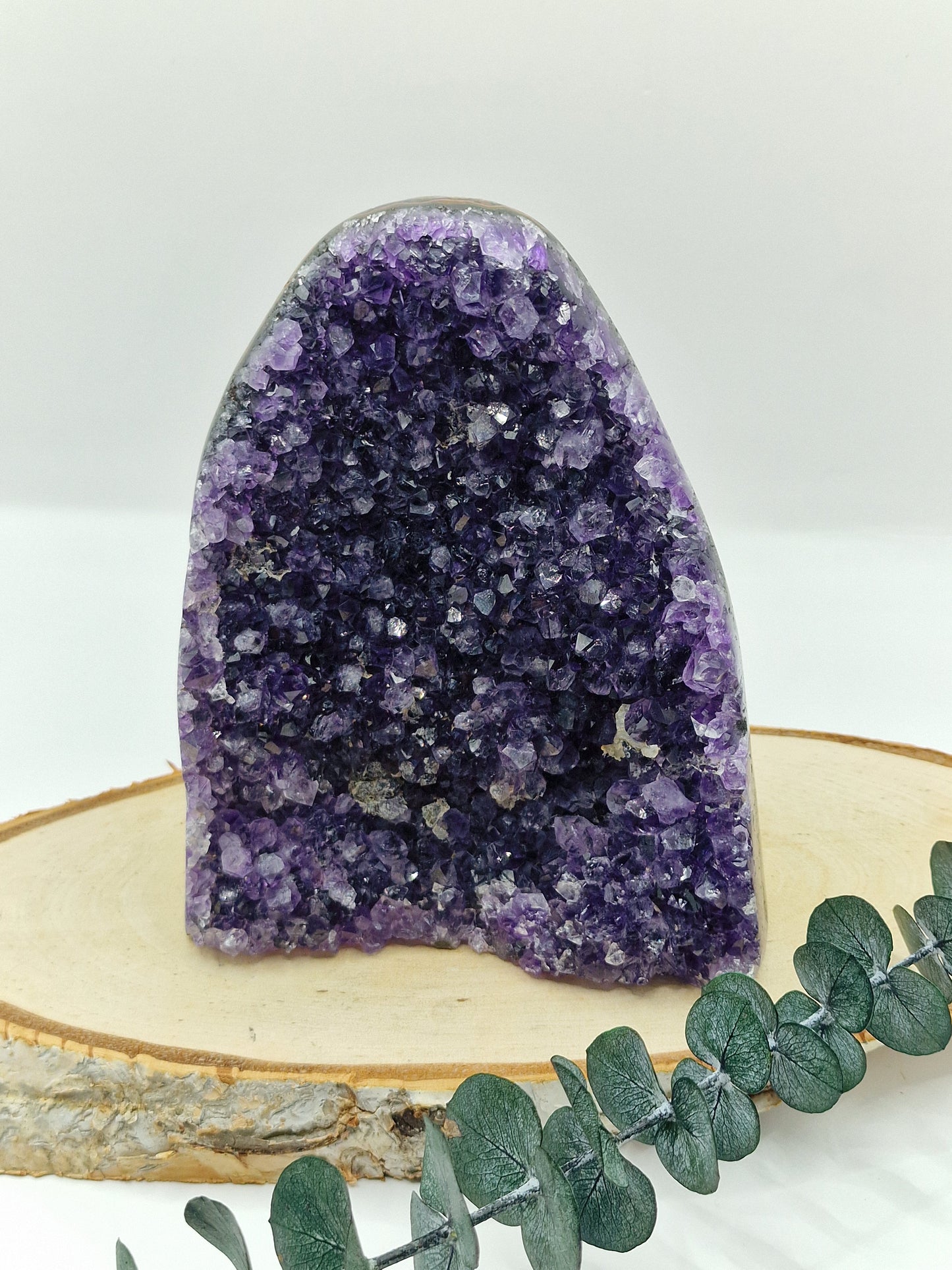Amethyst Cutbase 💜 TS75