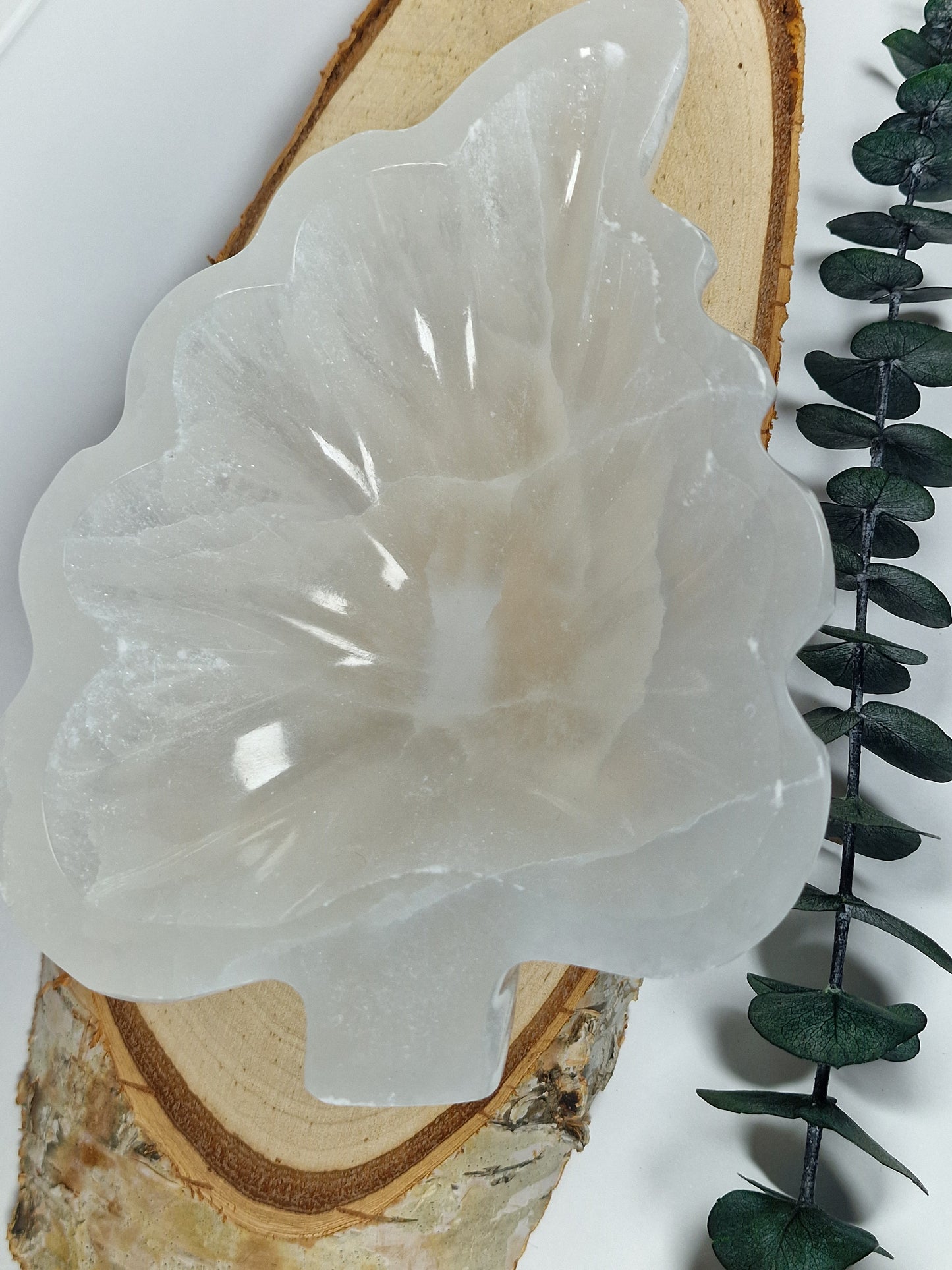 Selenitschale Blatt 🌿 B32