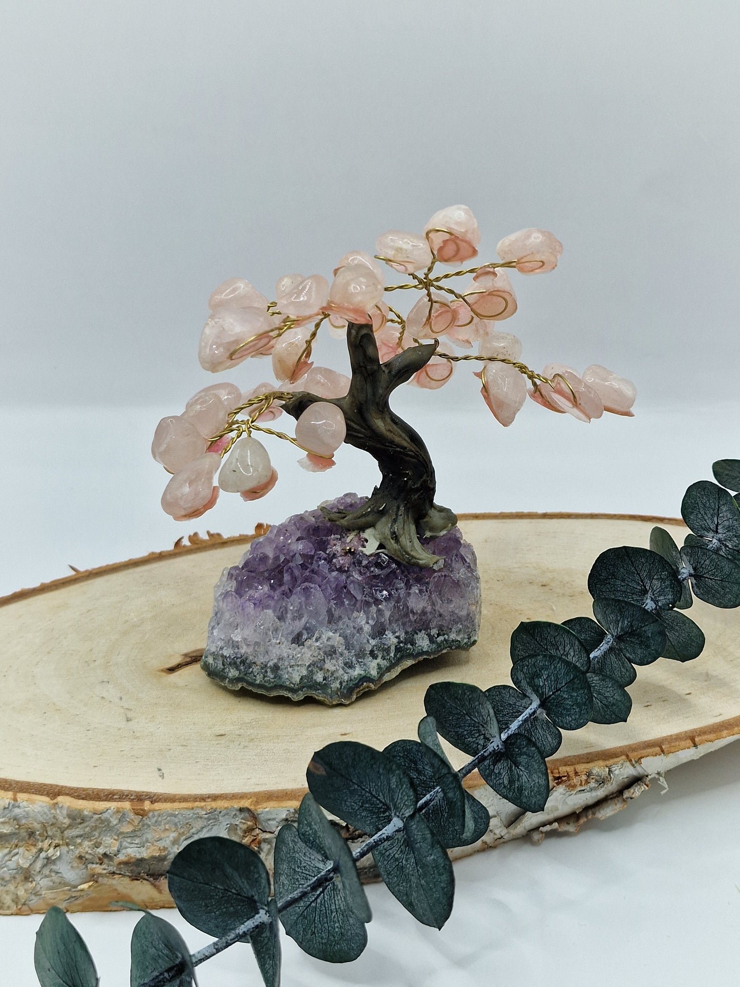 Rosenquarz Bonsai/Bäumchen auf Amethyst 💓