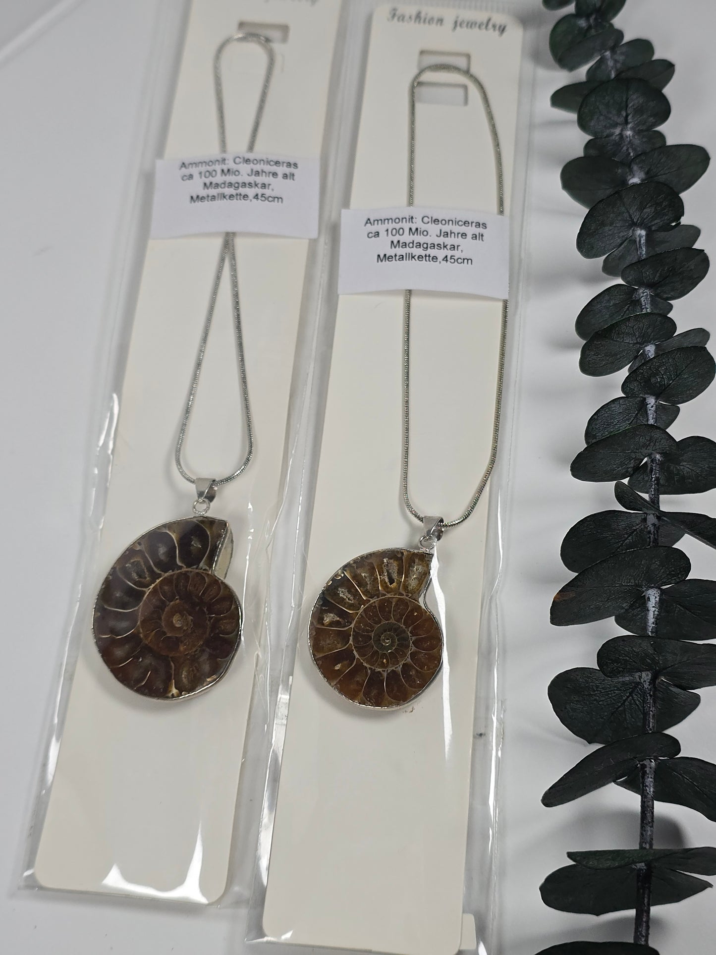 Ammoniten Kette 🐚
