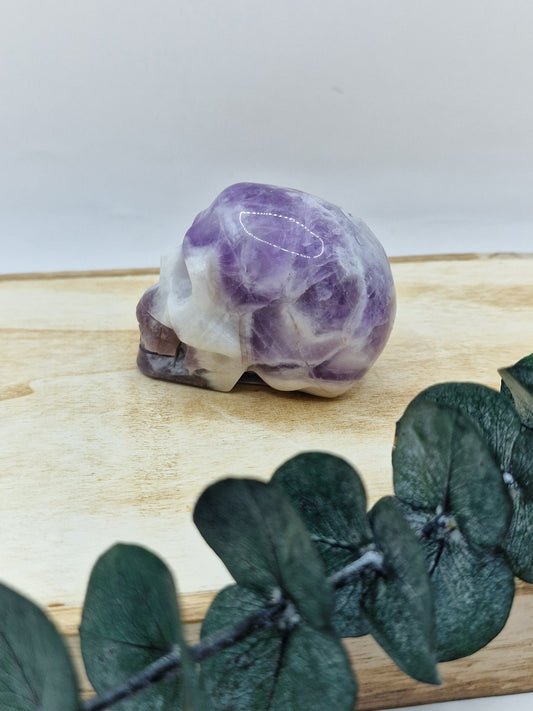 Chevron Amethyst Totenkopf 💀 S26
