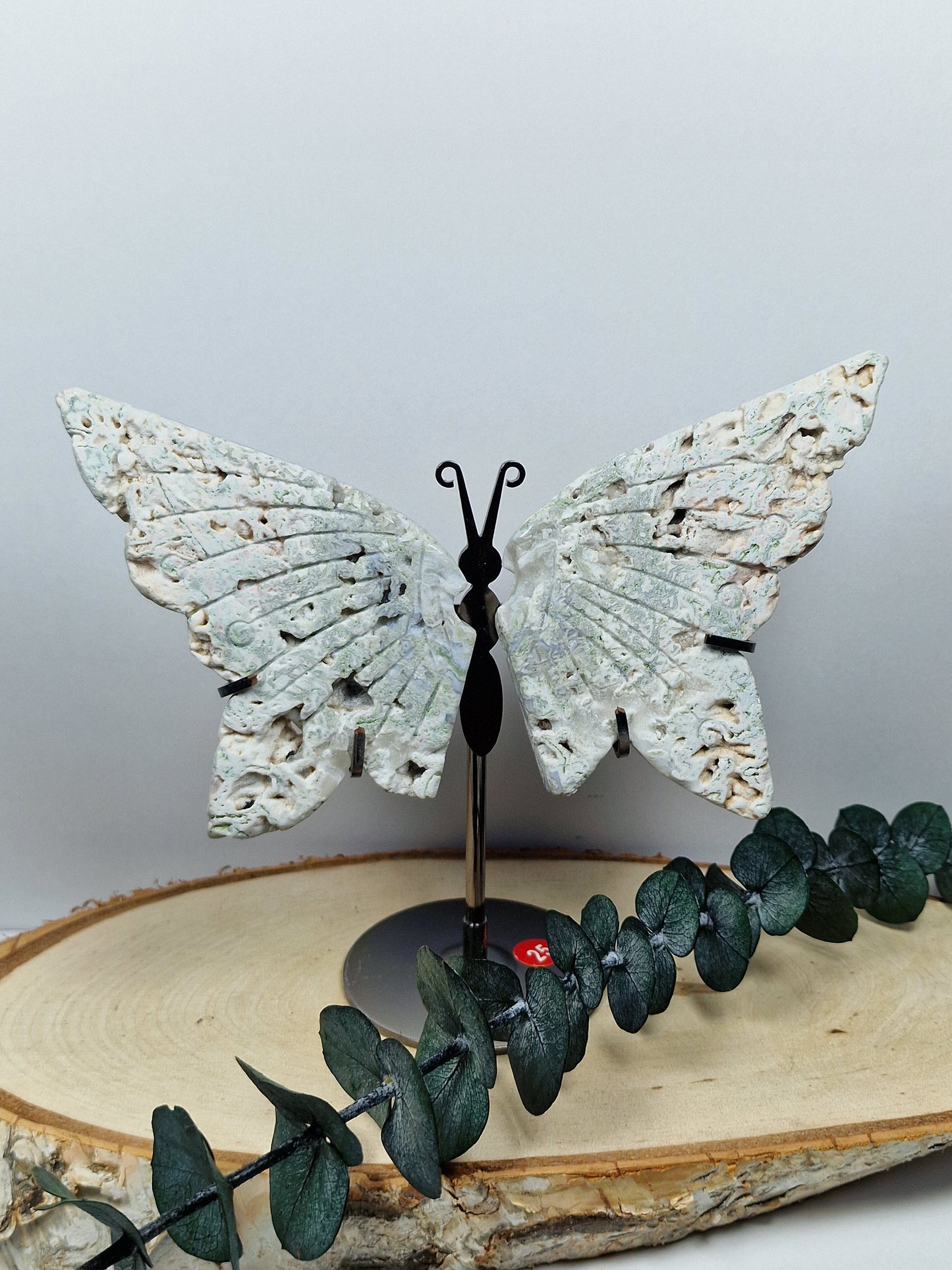 Moosachat Schmetterling 🦋 25